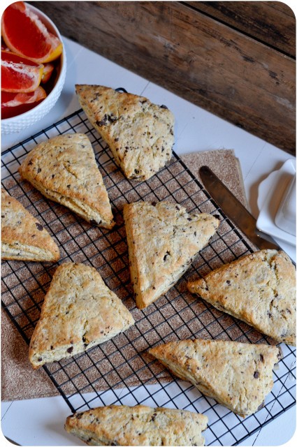 Chocolate Chip Scones | www.lemon-sugar.com