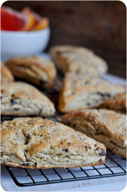 Chocolate Chip Scones | www.lemon-sugar.com