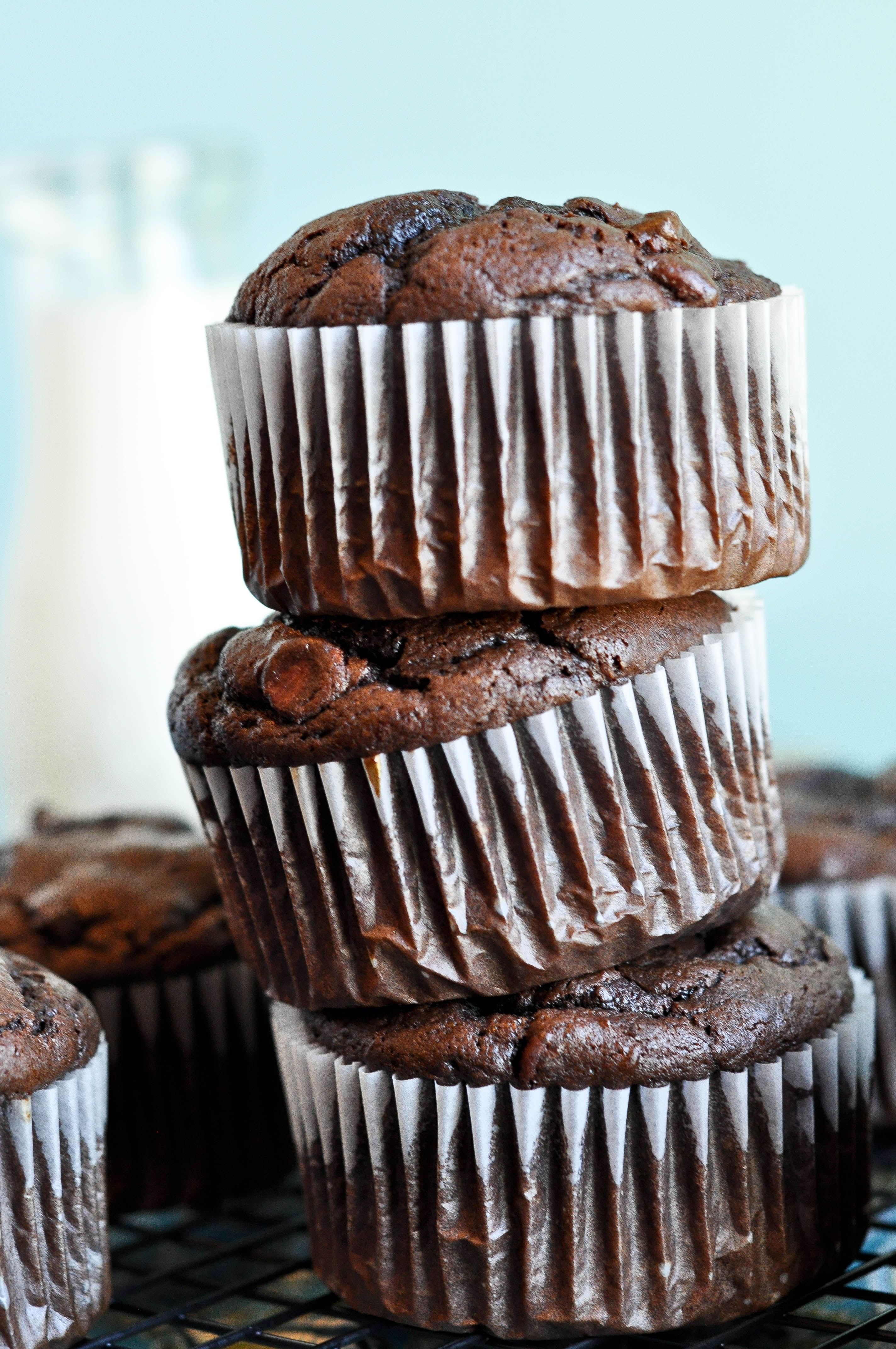 Giant Chocolate Muffins