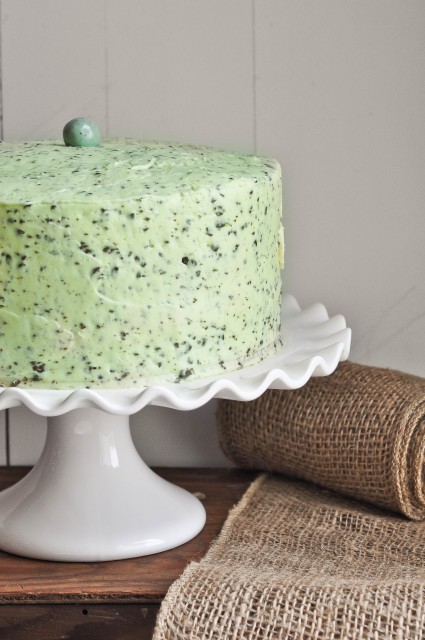 Mint Chocolate Chip Cake