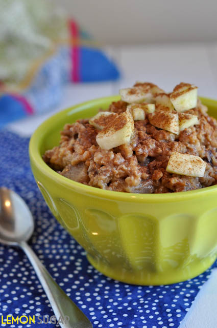 http://lemon-sugar.com/wp-content/uploads/2013/04/Slow-Cooker-Apple-Cinnamon-Steel-Cut-Oats-0042.jpg