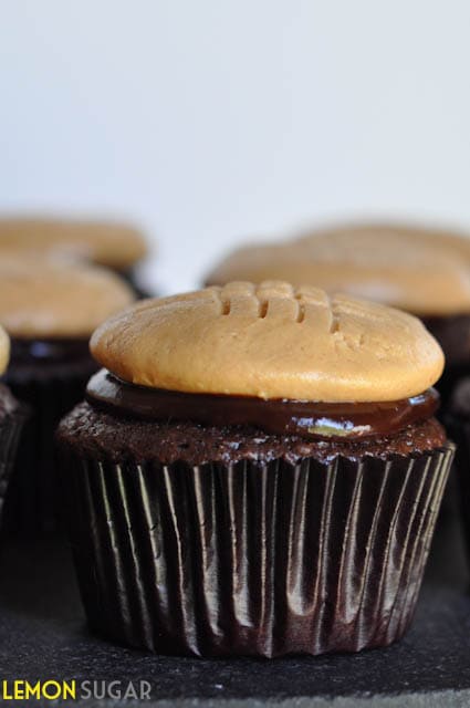 Chocolate Cupcakes with Peanut Butter Cookie Frosting