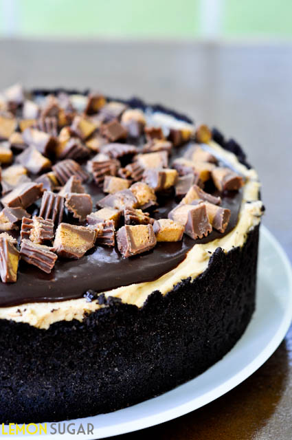 Chocolate Peanut Butter Torte-0158