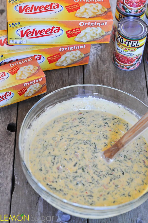 Spinach Queso Dip