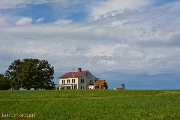 P Allen Smith Garden Home-0320